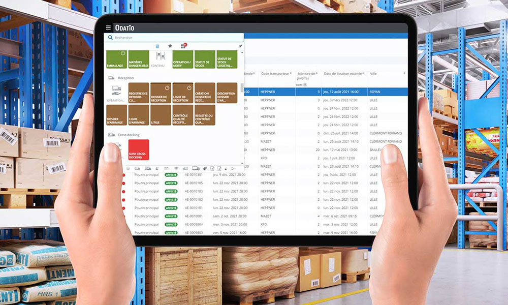 Synergizing software and automation for game-changing logistics ...