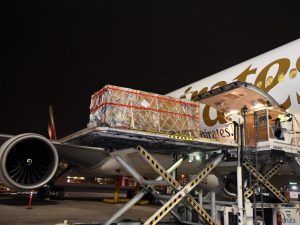 Emirates SkyCargo transported a 2,000 year old historical artefact