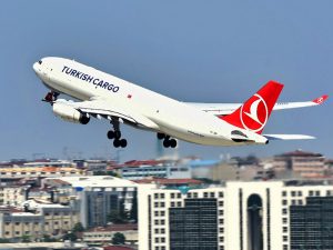 A Turkish Cargo freighter taking off