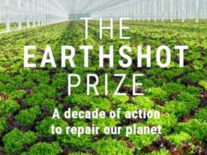 DP World's Earthshot Award