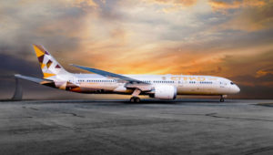 An Etihad Boeing 787 aircraft