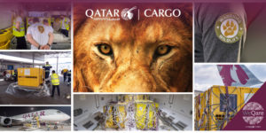 Qatar Cargo (supplied image)