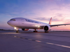 A Turkish Airways freighter on the tarmac