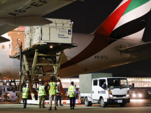 Dressage horses arrive at Tolyo's Haneda Airport on Emirates SkyCargo